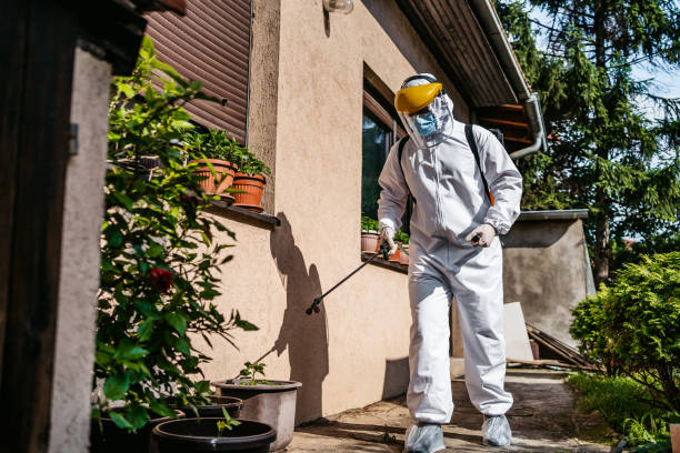 Best Flea Control Services  in Daniels, WV