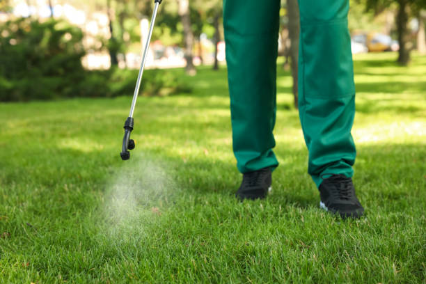 Best Flea Control Services  in Daniels, WV