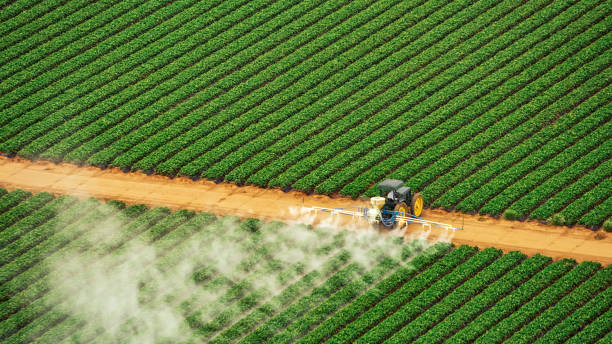Best Pest Control Treatment  in Daniels, WV